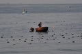 Vietnamese fisher fishing in Mui Ne, Vietnam Royalty Free Stock Photo